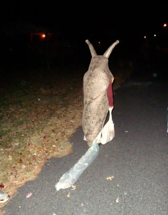 Disfraces de Halloween más divertidos y creativos