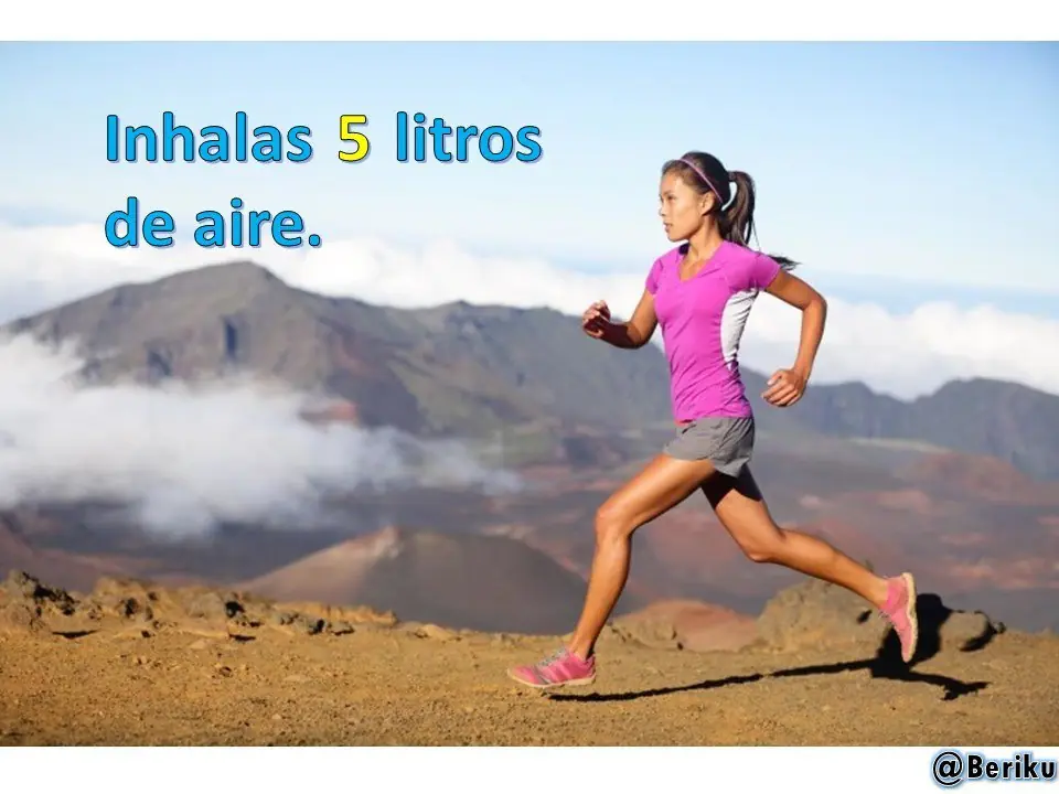 1 minuto
