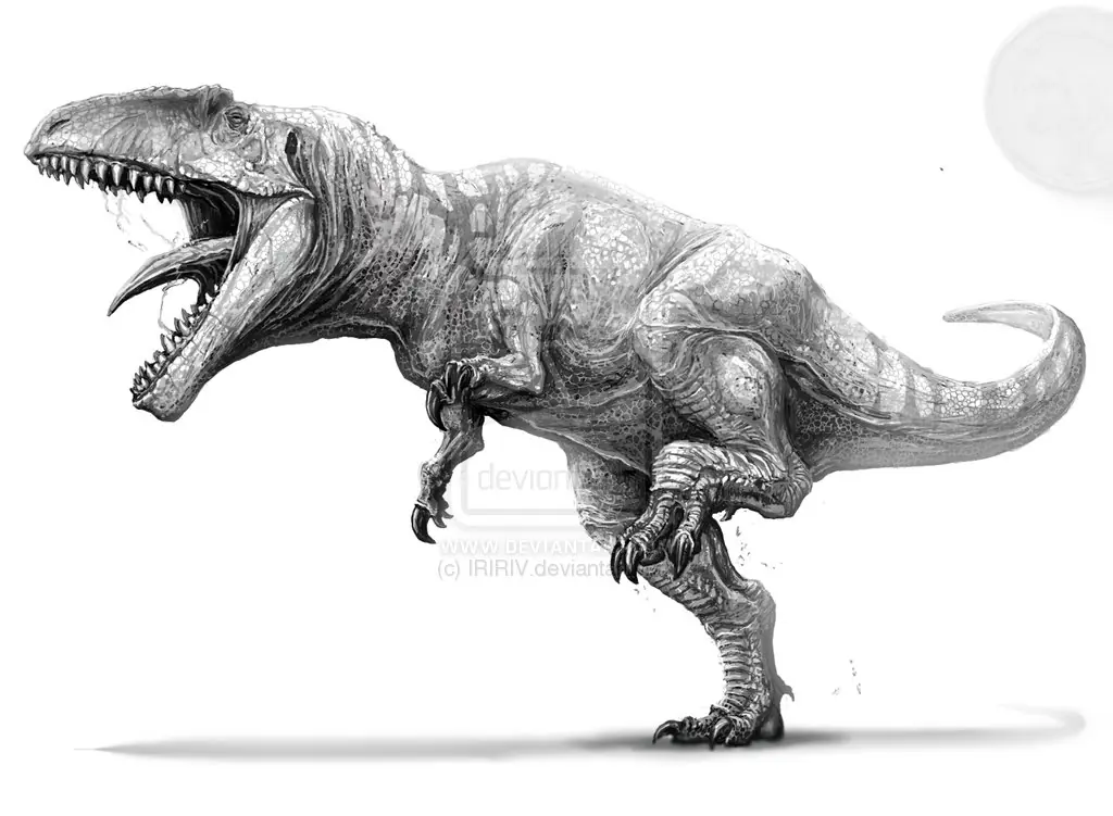 Giganotosaurus Carolinii,el dinosaurio más grande