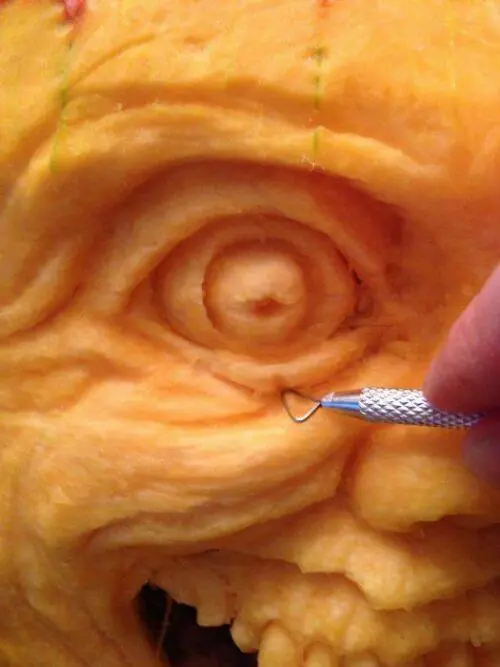 calabaza