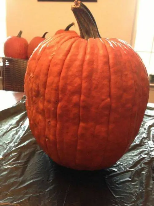 HALLOWEN