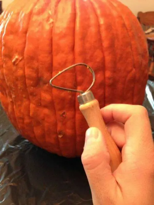 MI arte Escultura en Calabaza [ Propio ]