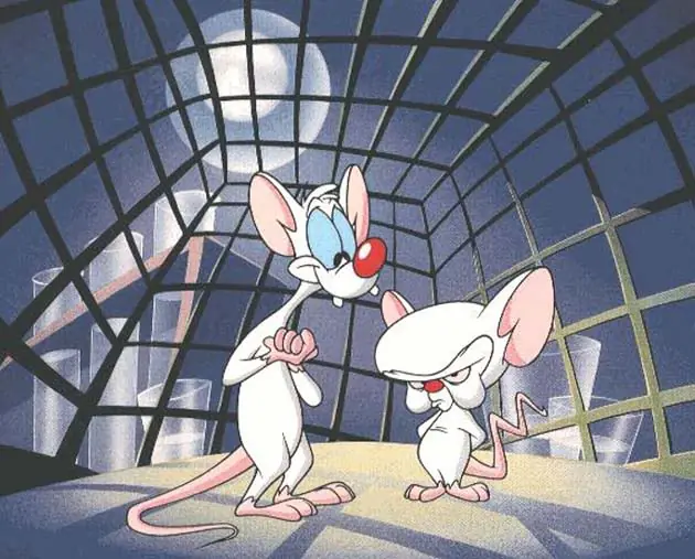 stimpy