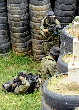 Marines de Brasil