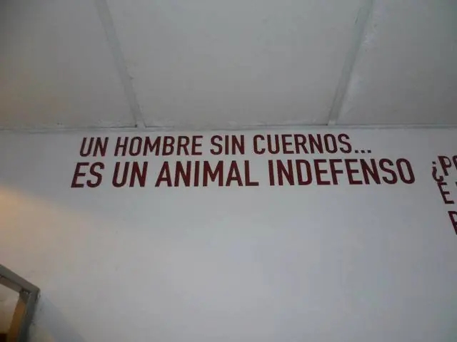 frases