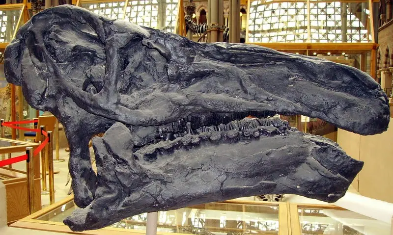 Dinosaurios
