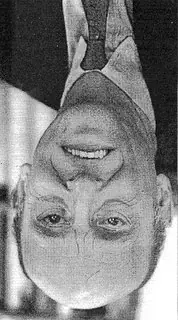 Ilusion Optica