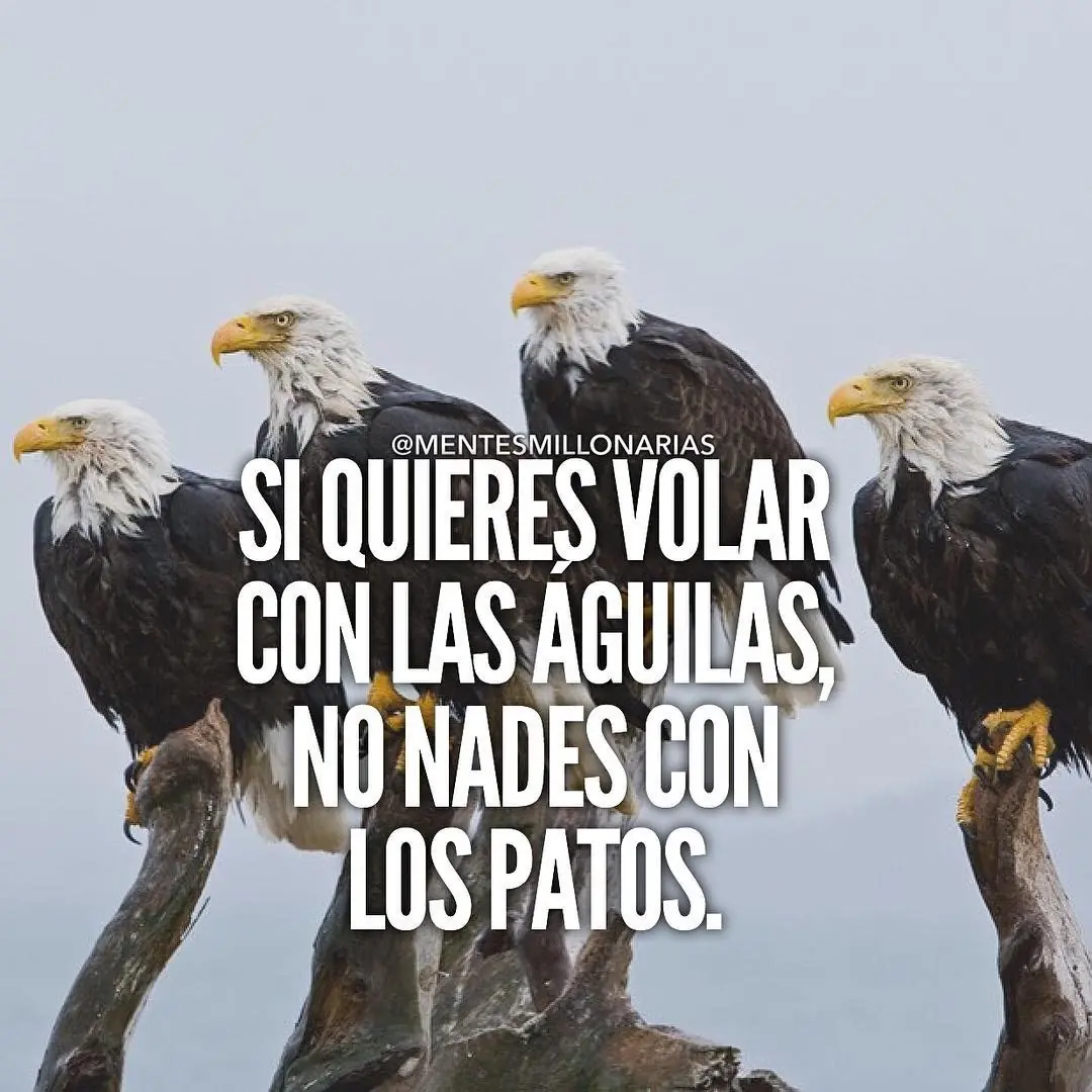 tu puedes
