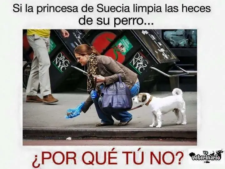 maquinolas