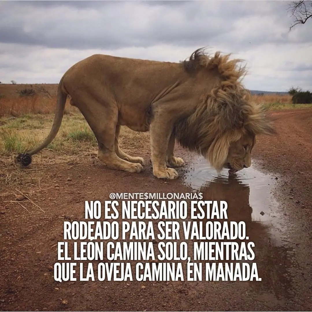 exito
