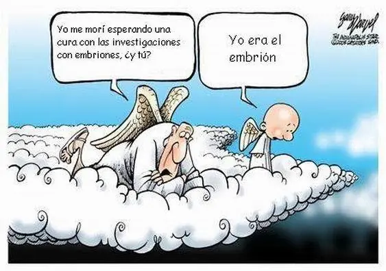 imagenes divertidas