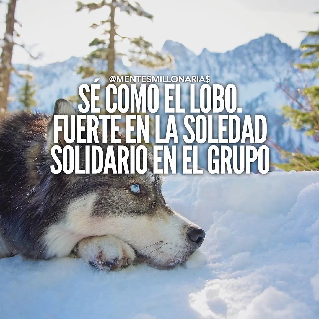 tu puedes