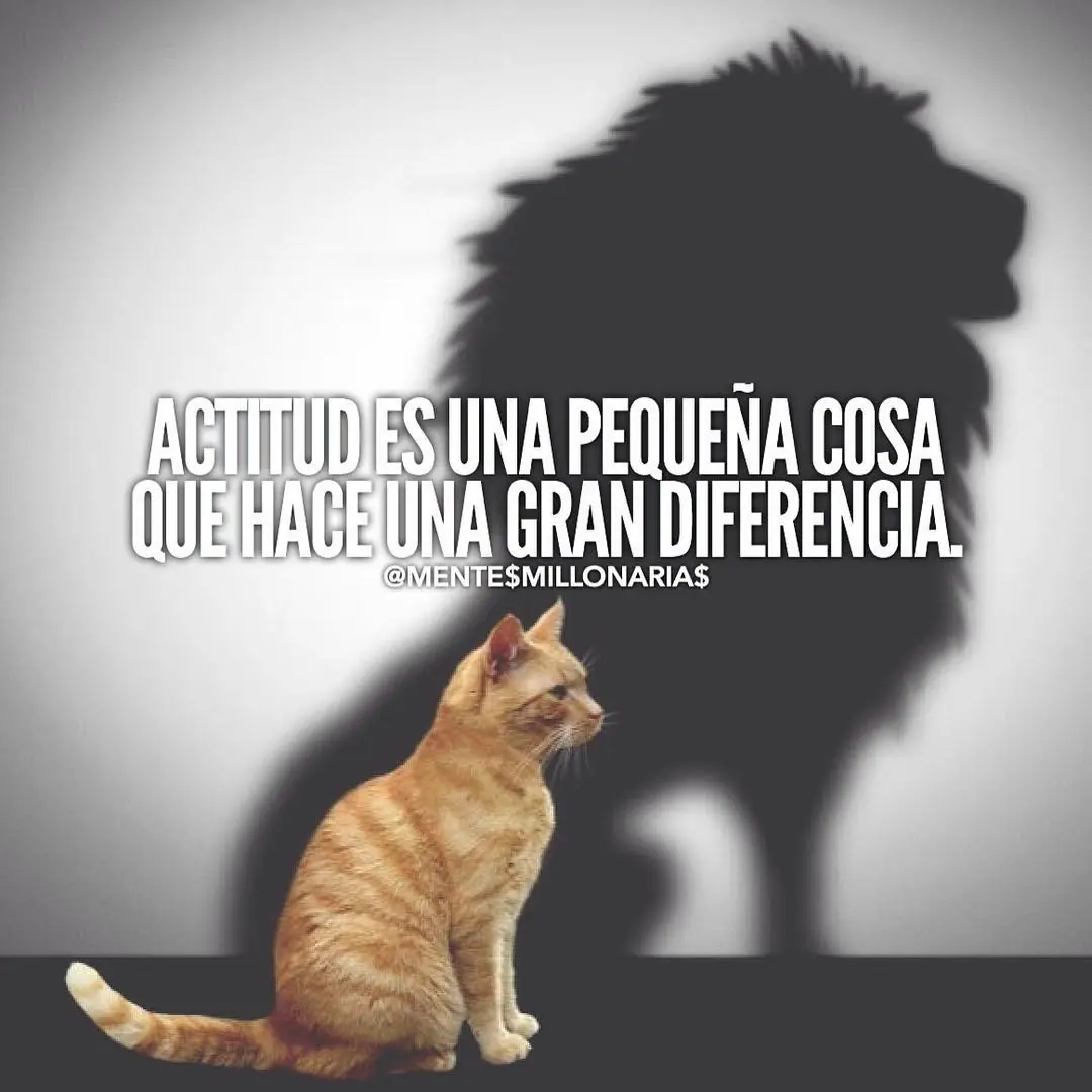 exito