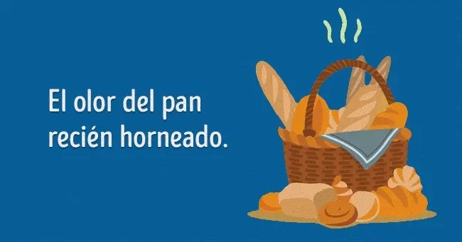 vida