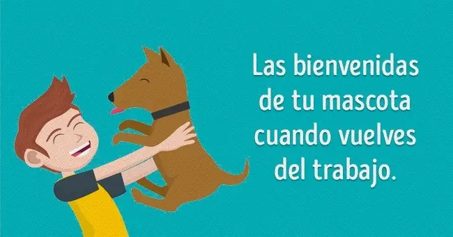 Los verdaderos placeres de la vida son gratuitos