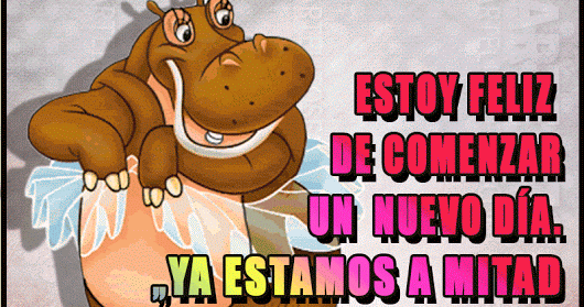 imagenes divertidas
