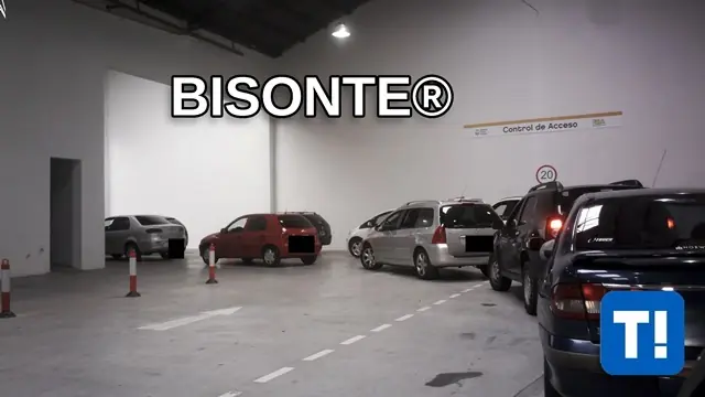 en que mes me toca la verificacion