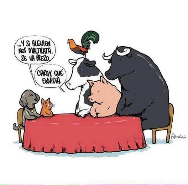 humor