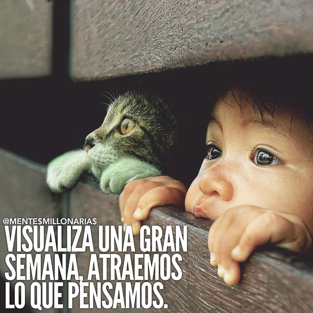 Algo de Motivación   2