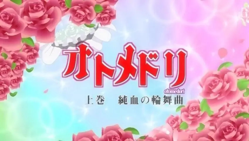 Reseña de Otome Dori