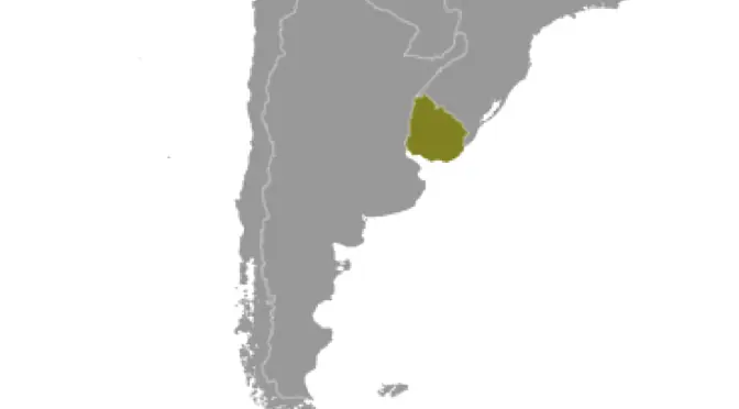 La  Historia de los Afro-Uruguayos
