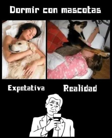 imagenes divertidas