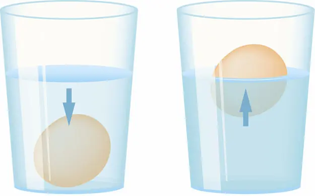 12 hacks científicos sobre los alimentos.