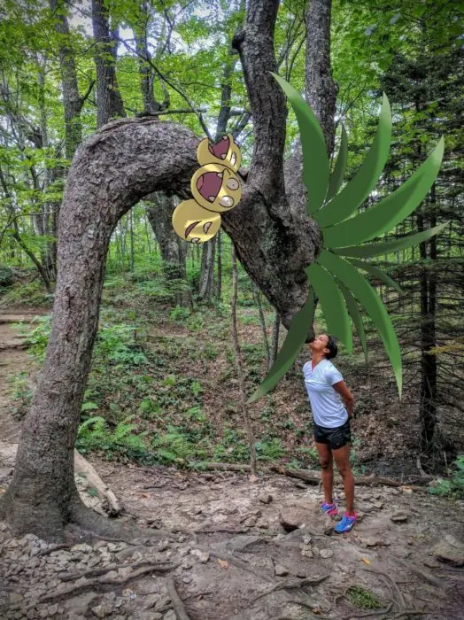 troll