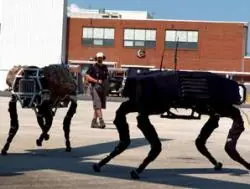 EEUU desarrollando robots bélicos que cazarán humanos