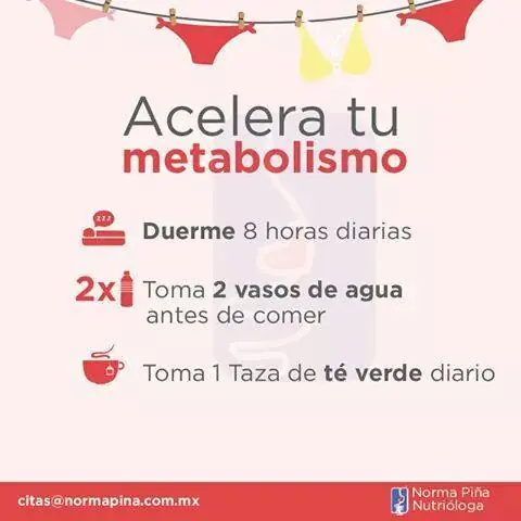 vegetales