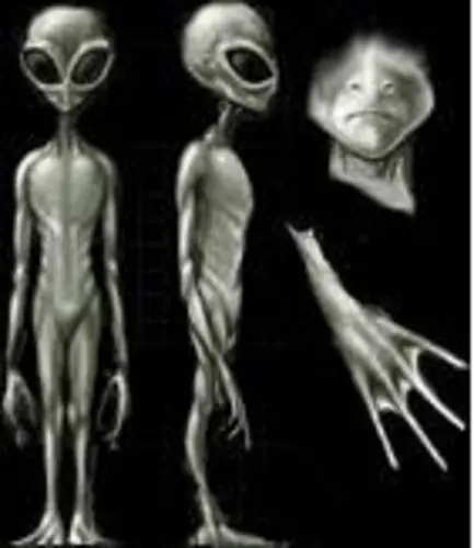 Extraterrestre de chile Extraterrestre de chile
