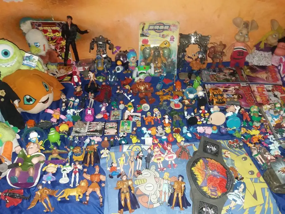 virgocoleccion virgocoleccion