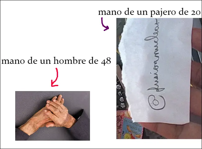 fake