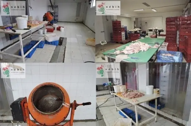 Comida falsa detectada por la Interpol - nadie está a salvo Comida falsa detectada por la Interpol - nadie está a salvo