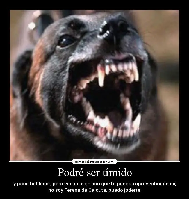 autoayuda