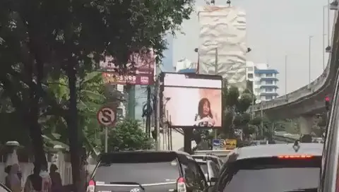pelicula