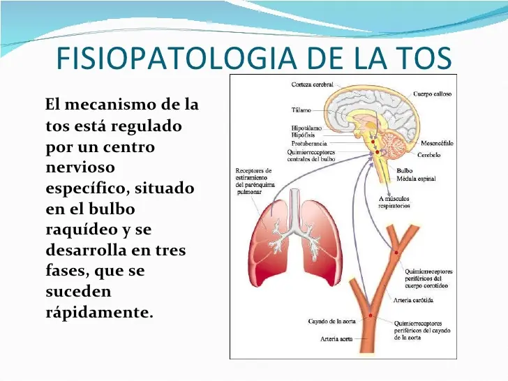 Curate de la tos con remedios caseros