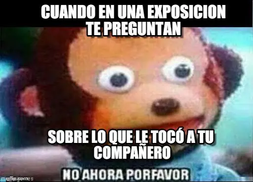 memes