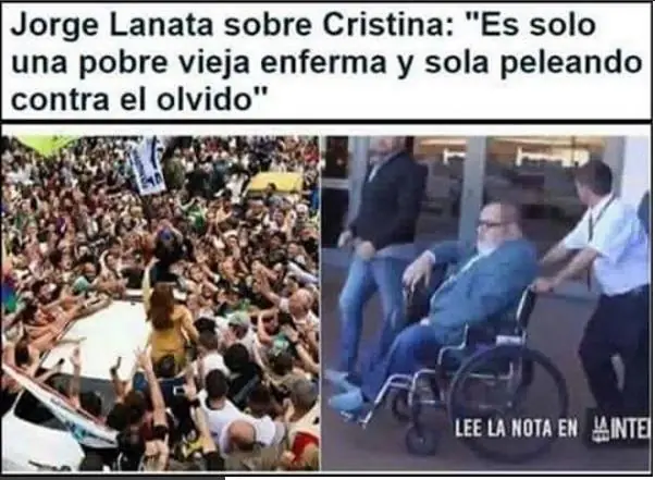 lanata