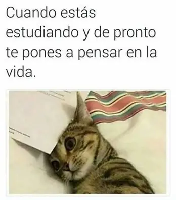 humor