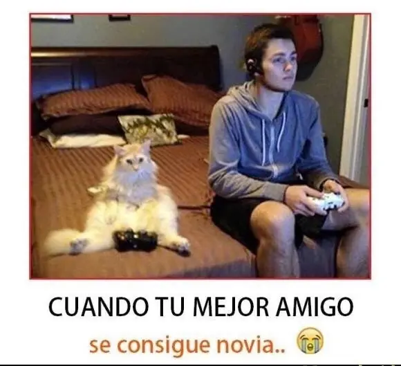 rato