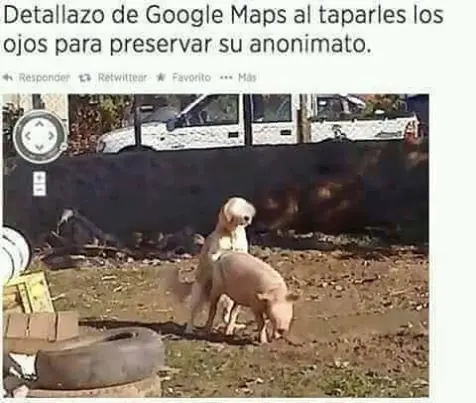 Humor Nocturno #1