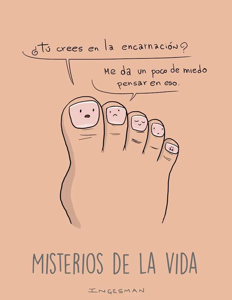 gracioso