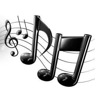 Canciones con errores del lenguaje...