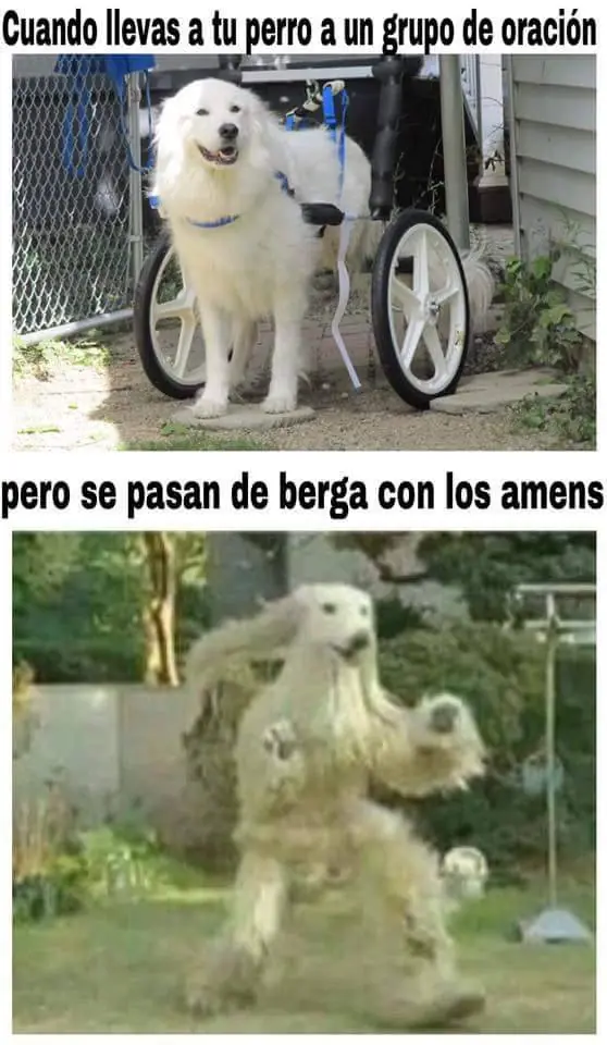 Mis Favoritas del Mi (parte 5)