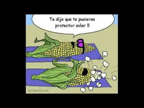 chistes tan malos que te aran reir