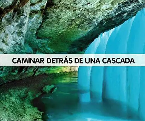 vivir feliz
