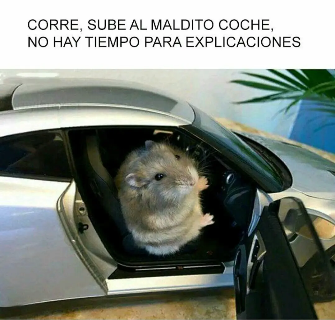 aqui habia otra imagen