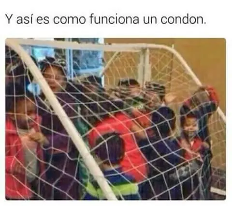 aqui habia una imagen