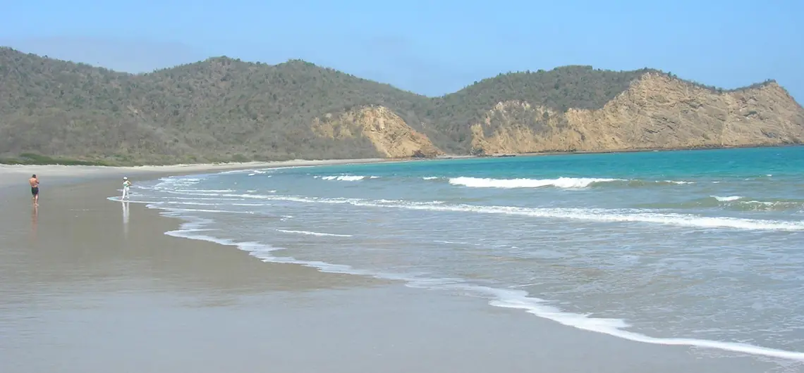 El agua de mar revierte daños por drogadicción